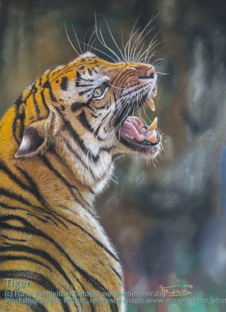 Mit Pastell gemaltes Bild auf dem ein Tiger mit geöffnetem Maul und strahlendem orangefarbenem Fell, zu sehen ist.