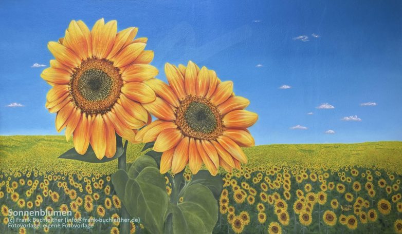Zwei gelbe Sonnenblumen vor einem blauen Himmel und einem Feld voller Sonnenblumen.