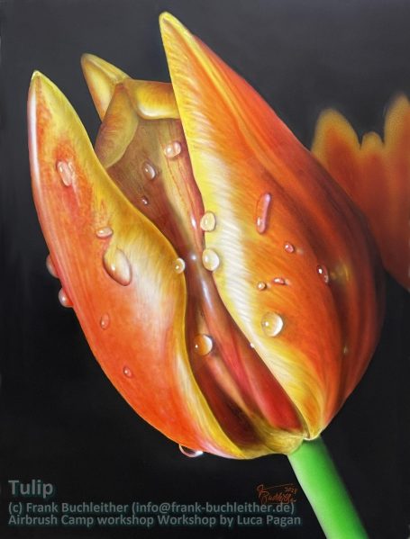 Eine orangefarbene Tulpe mit Wassertropfen auf den Blütenblättern.