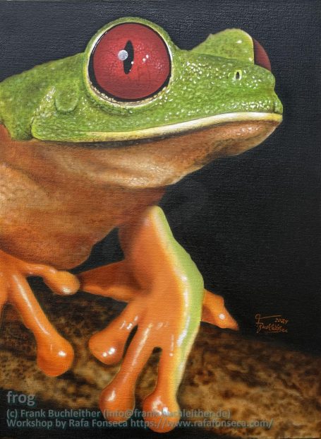 Ein grüner Baumfrosch mit roten Augen sitzt auf einem Ast vor dunklem Hintergrund.