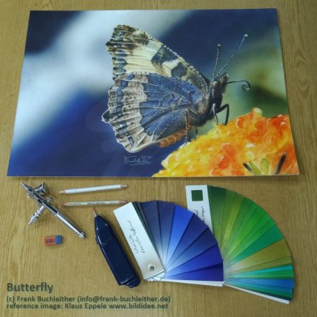 Detailreiche Illustration eines Schmetterlings neben Farbmustern und Zeichengeräten.